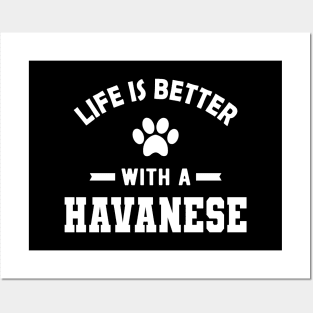 Havanese Dog - Life is better with a havanese Posters and Art